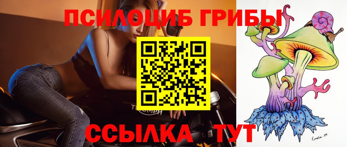 Псилоцибиновые грибы Cubensis Мурманск